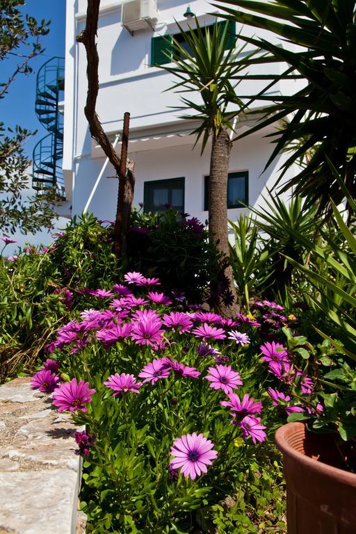 Villa Smaragdi ファラサルナ エクステリア 写真